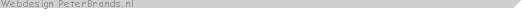 Webdesign PeterBrands.nl